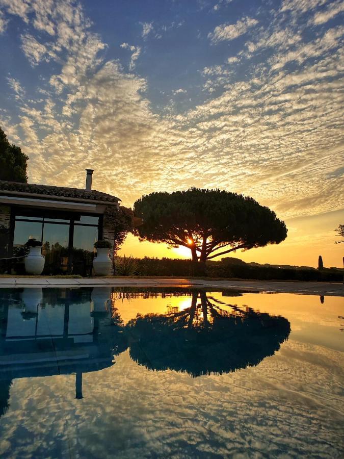 Villa Alba Saint-Tropez Zewnętrze zdjęcie