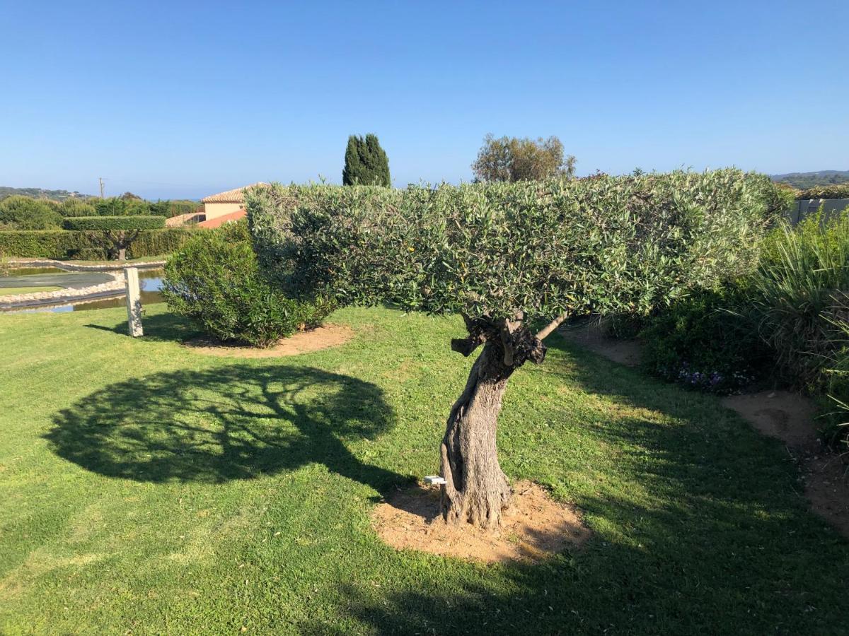 Villa Alba Saint-Tropez Zewnętrze zdjęcie